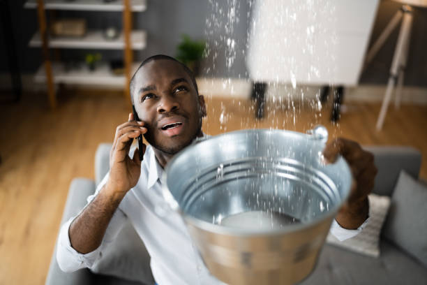 Best Carpet water damage restoration  in Fort Meade, MD