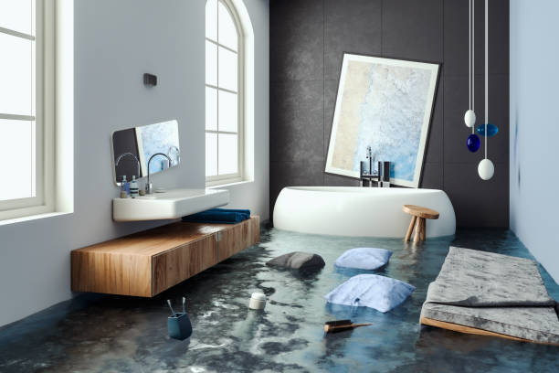 Best Professional water damage repair  in Fort Meade, MD