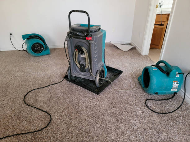 Best Water damage restoration near me  in Fort Meade, MD