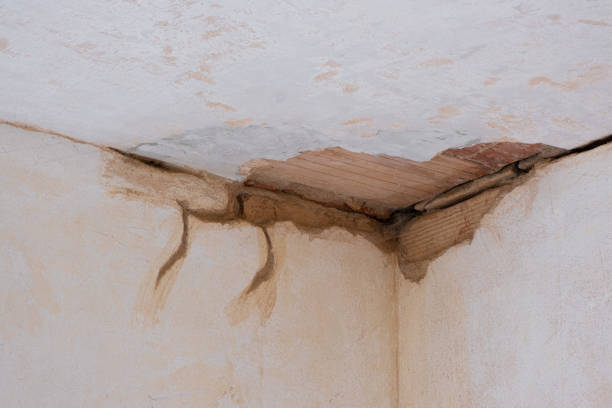 Reliable Fort Meade, MD Water damage restoration Solutions