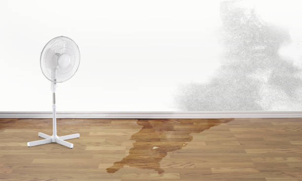 Best Residential water damage restoration  in Fort Meade, MD