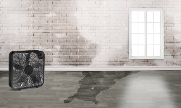 Best Flood restoration services  in Fort Meade, MD