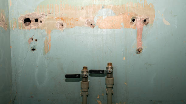 Best Flooded house restoration  in Fort Meade, MD