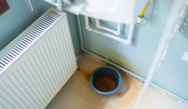 Best Ceiling water damage repair  in Fort Meade, MD