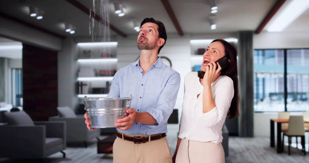 Best Mold removal after water damage  in Fort Meade, MD