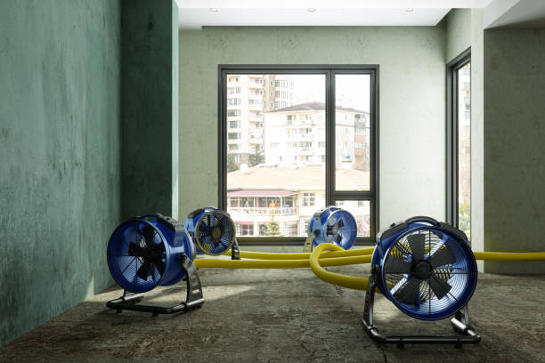 Best 24-hour water damage restoration  in Fort Meade, MD